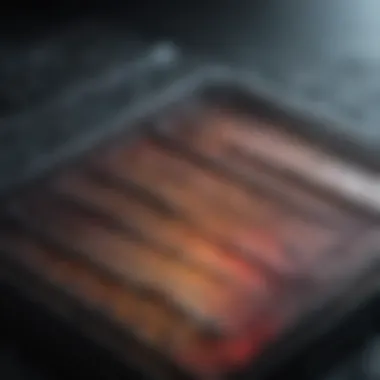 Magnificent Exploring LC3 Western Blot: Techniques, Applications, and Insights