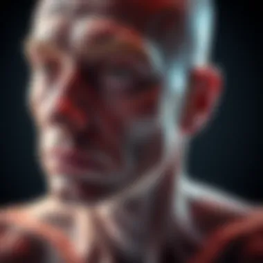 Magnificent The Impact of Skin Cancer on the Human Body