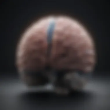 Visualization of methodologies used in the Allen Brain Map