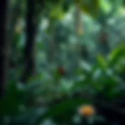 Lush Amazon rainforest showcasing biodiversity