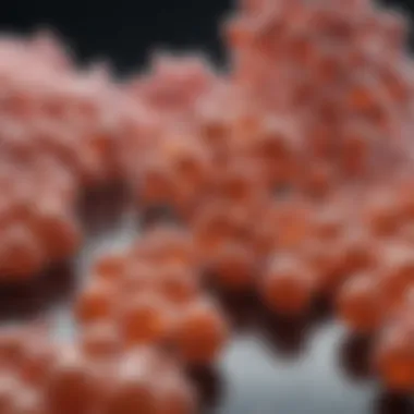 Role of Amino Acids in Protein Formation Amino acids in the context of protein synthesis