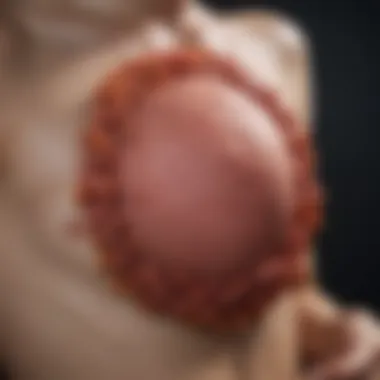 Diagnostics of Genital Warts Flowchart detailing diagnostic methods for genital warts