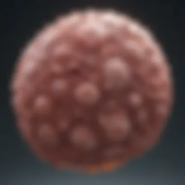 Visual representation of benign tumors and their characteristics