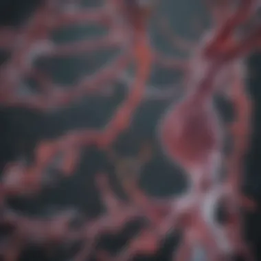 Applications of scRNA-seq in Cancer Research Applications of scRNA-seq in cancer research.