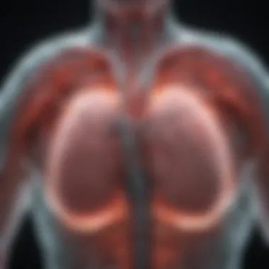 Visual representation of the ablation procedure and its mechanisms