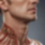 Detailed illustration of neck cancer types