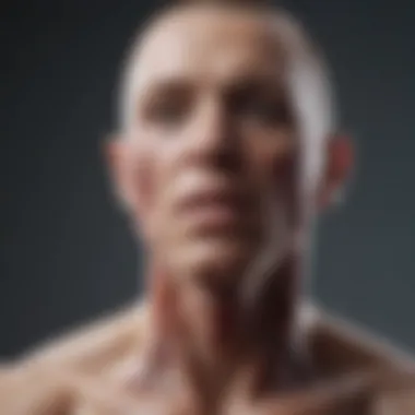 Overview of Various Autoimmune Disorders Visual representation of autoimmune disorders