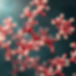 Chemical structure of Baccatin III