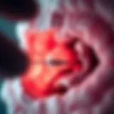 Pathological view of bilateral nasal polyps highlighting their structure.