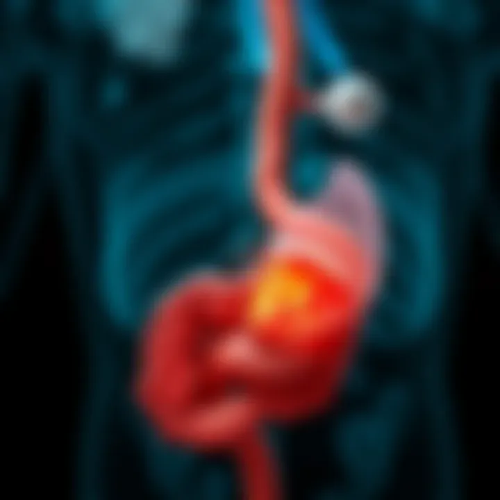 Detailed illustration of bile duct anatomy