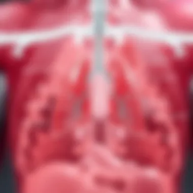 Biological Mechanisms of Cancer Progression Diagram illustrating the biological mechanisms involved in cancer progression