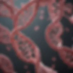 Illustration of BRCA gene structure