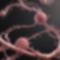 Detailed visualization of metabolic pathways in breast cancer