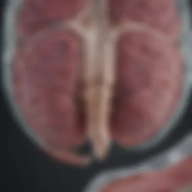 A map illustrating regional cost variations for breast MRI across the country.