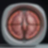 A visual representation of breast MRI technology showcasing its advanced features.