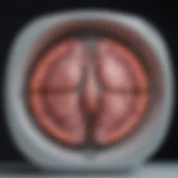 A visual representation of breast MRI technology showcasing its advanced features.