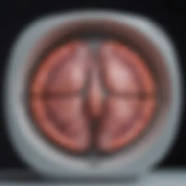 A visual representation of breast MRI technology showcasing its advanced features.