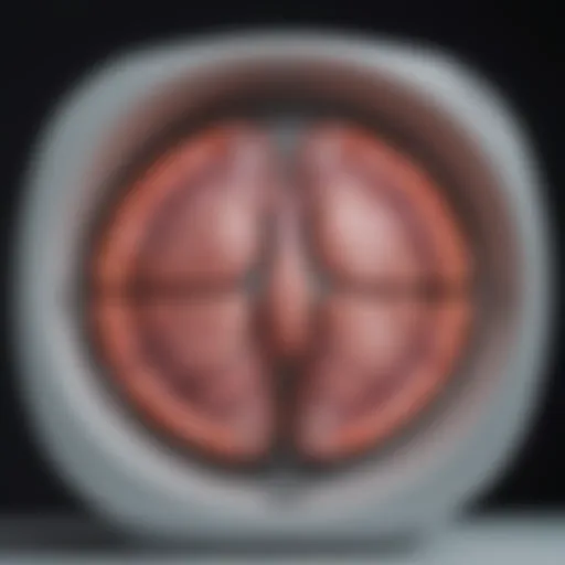 A visual representation of breast MRI technology showcasing its advanced features.