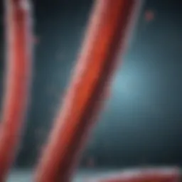 Mechanisms of sepsis development
