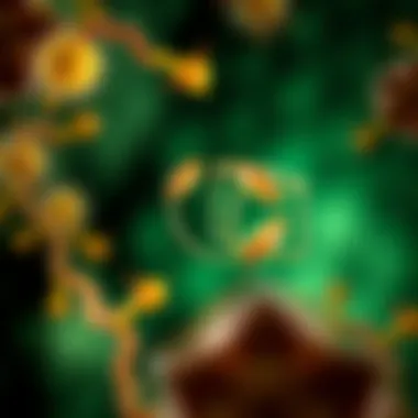 Diagram depicting the mechanisms of action of cantharidin at the cellular level.