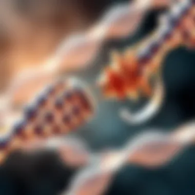 Illustration depicting the capping mechanism in RNA synthesis