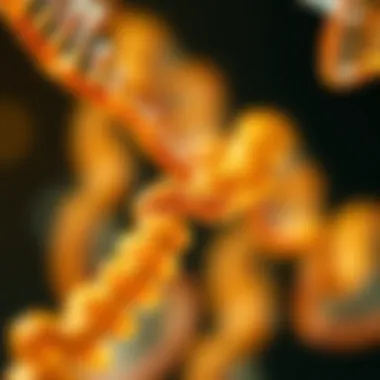 Diagram of enzymatic methods used in RNA capping