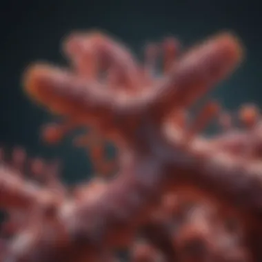 CCN3 Antibody: Overview and Implications in Research Summary