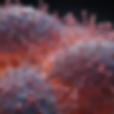 CD40 Antibody: A Detailed Exploration of Its Role and Implications in Research Summary CD40 Antibody: A Detailed Exploration of Its Role and Implications in Research Summary