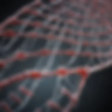 Circulating Cell-Free DNA Analysis Visual representation of circulating cell-free DNA analysis