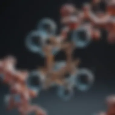 Understanding the Molecular Basis of CFSE Illustration of CFSE molecular structure