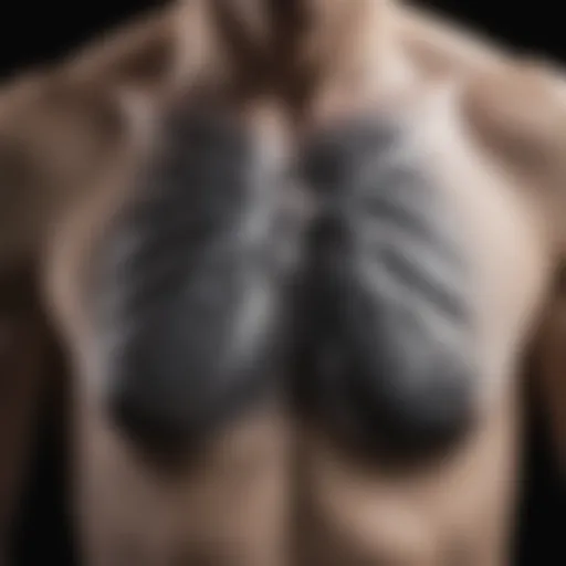 Chest X-ray showcasing signs of tuberculosis