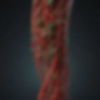 Impact of Herbal Remedies on Blood Flow Illustration of blood flow highlighting the impact of herbal remedies