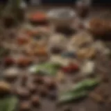An array of traditional Chinese herbs known for circulatory benefits