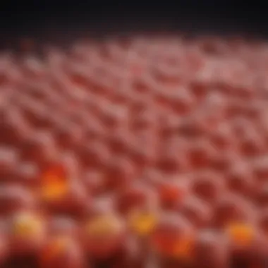 Graph illustrating the effects of cholesterol inhibitors on lipid levels
