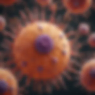 Endocytosis and Clathrin Functionality Visualization of endocytosis process in cells