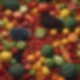 Colorful array of fruits and vegetables representing a healthy diet