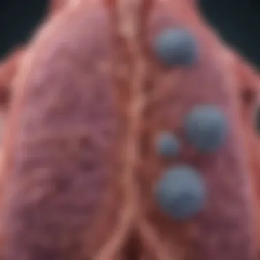 Biological Mechanisms of NSCLC vs SCLC Graphical representation of NSCLC and SCLC biological mechanisms