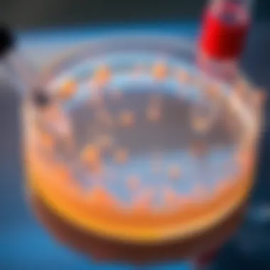 DNA Recovery Process from Agarose Gel Diagram illustrating DNA recovery from agarose gel