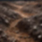 Visual representation of heavy metal contaminants in soil