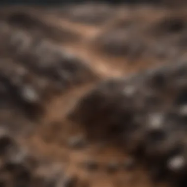 Visual representation of heavy metal contaminants in soil