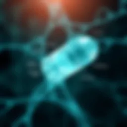 Diagram illustrating insulin resistance mechanisms