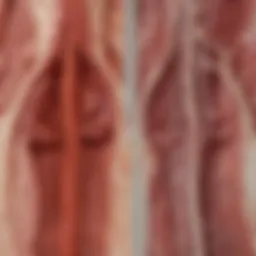 Cross-section of a healthy artery versus an artery affected by arteriosclerosis
