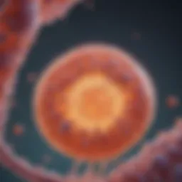 Illustration of urinary exosome structure and composition