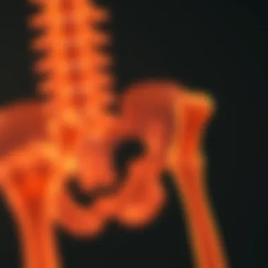 Visual representation of treatment modalities for bone deficiency