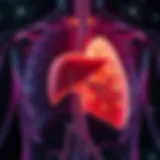 Liver Anatomy and Cirrhosis Impact A detailed diagram showcasing the liver anatomy and the impact of cirrhosis