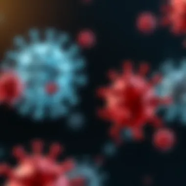 Diagram illustrating immune modulation effects of AHCC