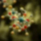 Molecular structure of AHCC showing its active components