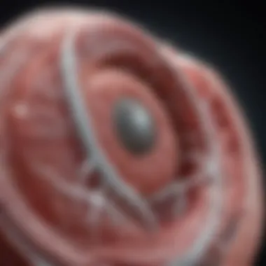 Advancements in Coronary Ablation Technology Visual representation of advancements in coronary ablation technology.