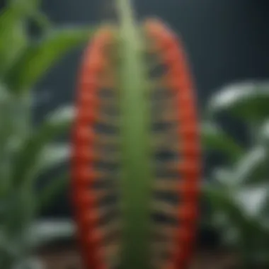 Genetic Modification in Agriculture with CRISPR Illustration of genetic modification in plants using CRISPR