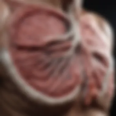 Infographic on diagnostic methods for lung scarring